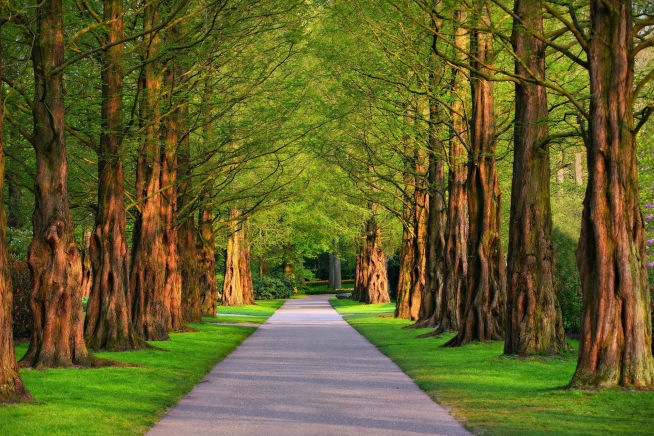 Referral Pathways